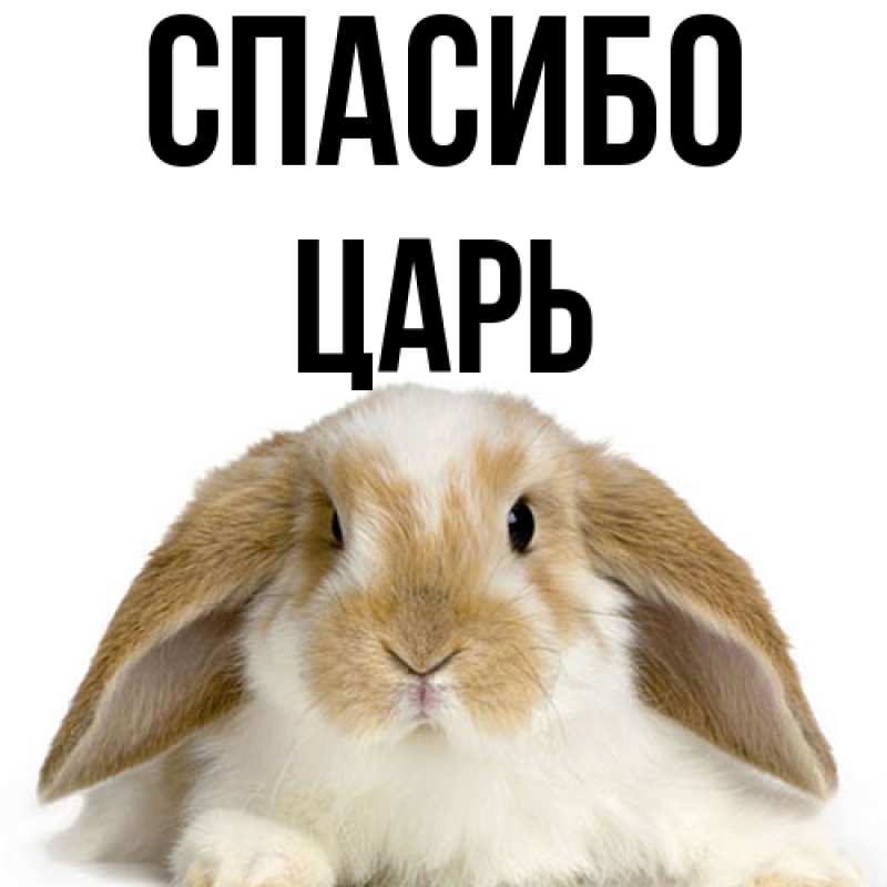Картинка Спасибо, Царь