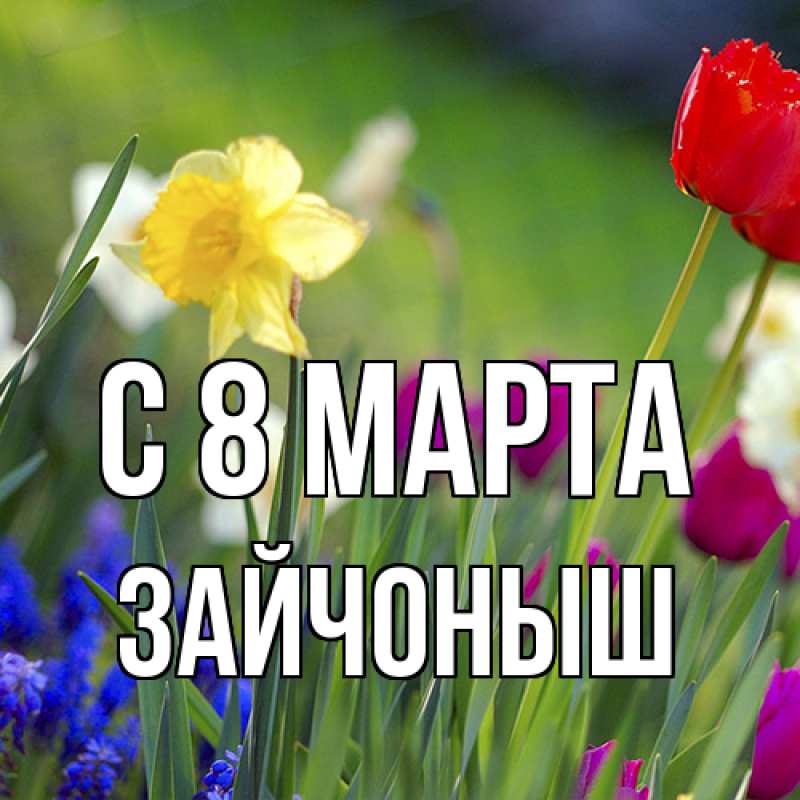 Картинка C 8 МАРТА, зайчоныш
