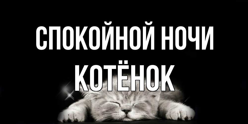 Открытка на каждый день с именем, Котёнок Спокойной ночи спящий котик Прикольная открытка с пожеланием онлайн скачать бесплатно 