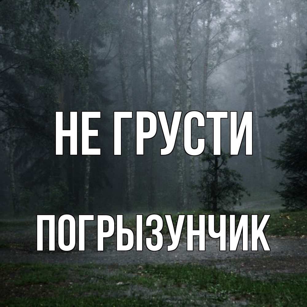 Открытка на каждый день с именем, Погрызунчик Не грусти осень Прикольная открытка с пожеланием онлайн скачать бесплатно 