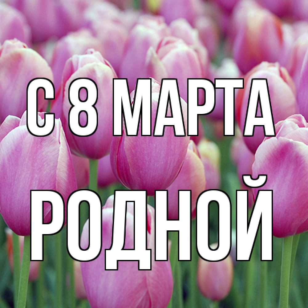 Открытка на каждый день с именем, Родной C 8 МАРТА на международный женский день 3 Прикольная открытка с пожеланием онлайн скачать бесплатно 