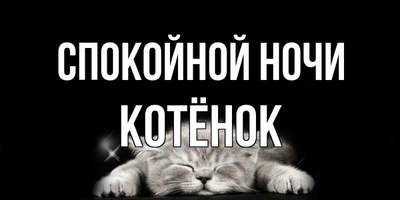 Картинка Спокойной ночи, Котёнок