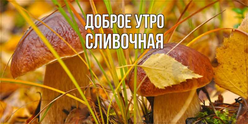 Картинка Доброе утро, Сливочная