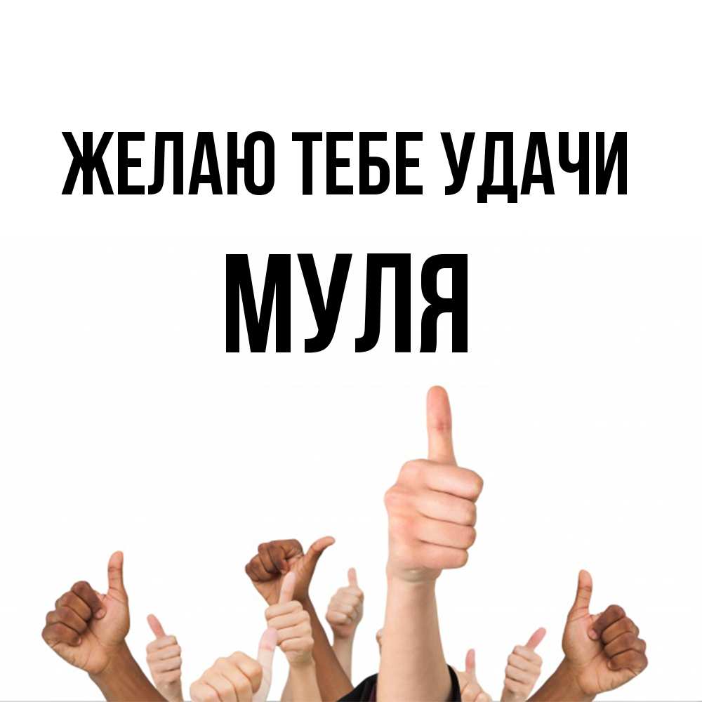 Открытка на каждый день с именем, Муля Желаю тебе удачи молодцом Прикольная открытка с пожеланием онлайн скачать бесплатно 