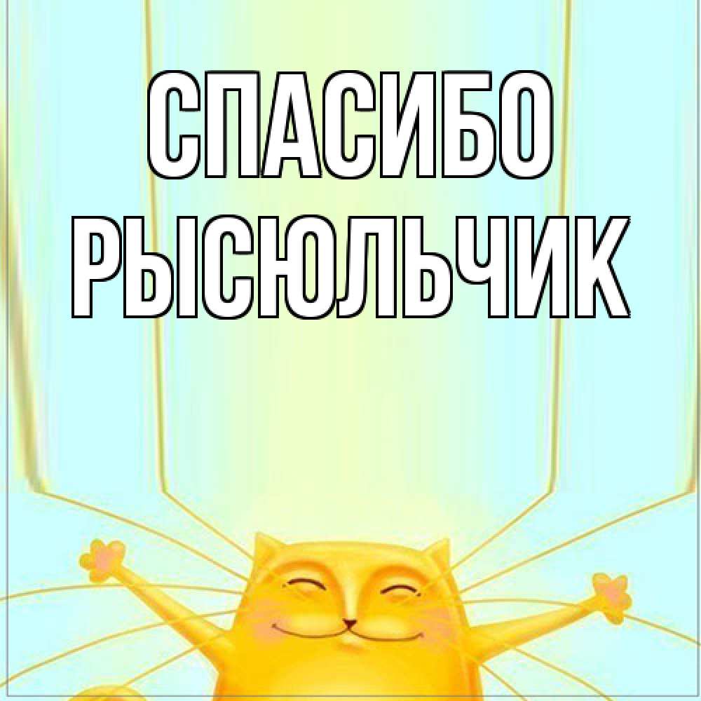 Открытка на каждый день с именем, Рысюльчик Спасибо кот с усами благодарит Прикольная открытка с пожеланием онлайн скачать бесплатно 