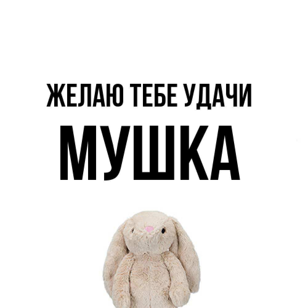 Открытка на каждый день с именем, мушка Желаю тебе удачи сайт создаватель открыток Прикольная открытка с пожеланием онлайн скачать бесплатно 