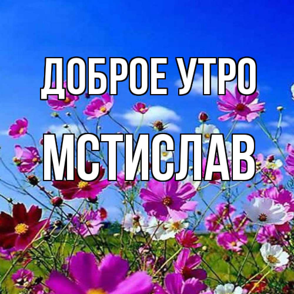 Открытка на каждый день с именем, Мстислав Доброе утро сиреневые цветы Прикольная открытка с пожеланием онлайн скачать бесплатно 