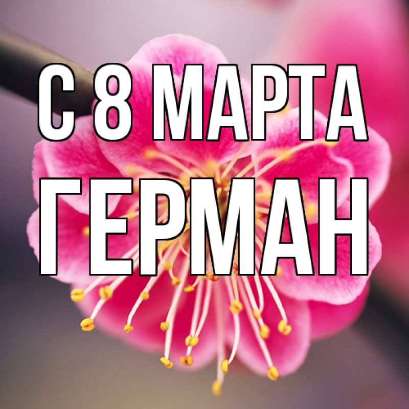 Картинка C 8 МАРТА, Герман