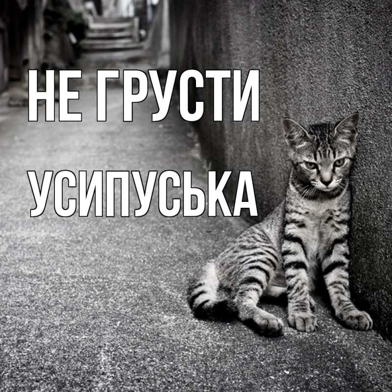Картинка Не грусти, усипуська