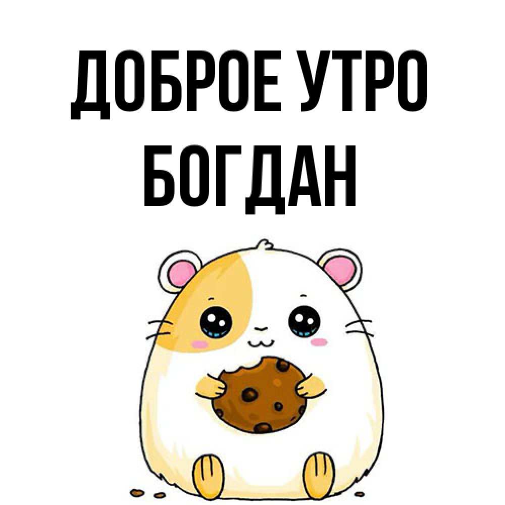 Открытка на каждый день с именем, Богдан Доброе утро есть печеньку. Утречко Прикольная открытка с пожеланием онлайн скачать бесплатно 