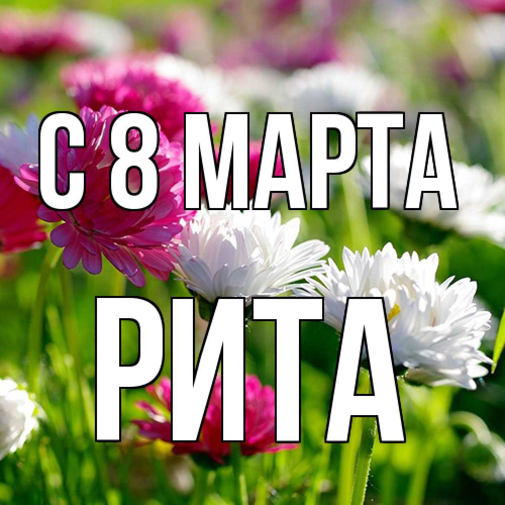Открытка на каждый день с именем, Рита C 8 МАРТА международный женский день 1 Прикольная открытка с пожеланием онлайн скачать бесплатно 