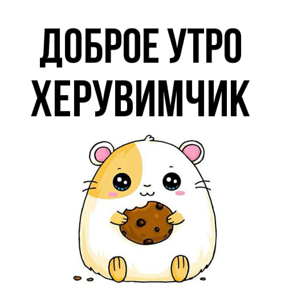 Открытка на каждый день с именем, Хеpувимчик Доброе утро есть печеньку. Утречко Прикольная открытка с пожеланием онлайн скачать бесплатно 