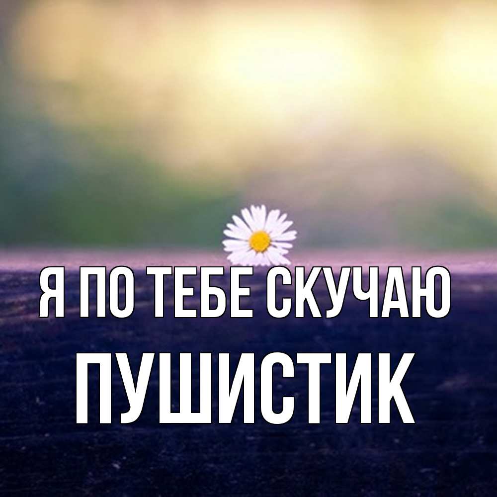 Открытка на каждый день с именем, Пушистик Я по тебе скучаю приходи в гости Прикольная открытка с пожеланием онлайн скачать бесплатно 