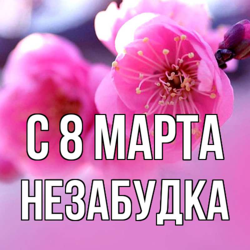 Картинка C 8 МАРТА, Незабудка