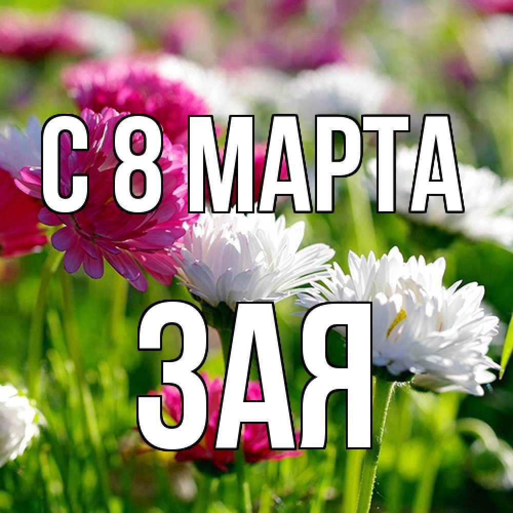 Открытка на каждый день с именем, Зая C 8 МАРТА международный женский день 1 Прикольная открытка с пожеланием онлайн скачать бесплатно 