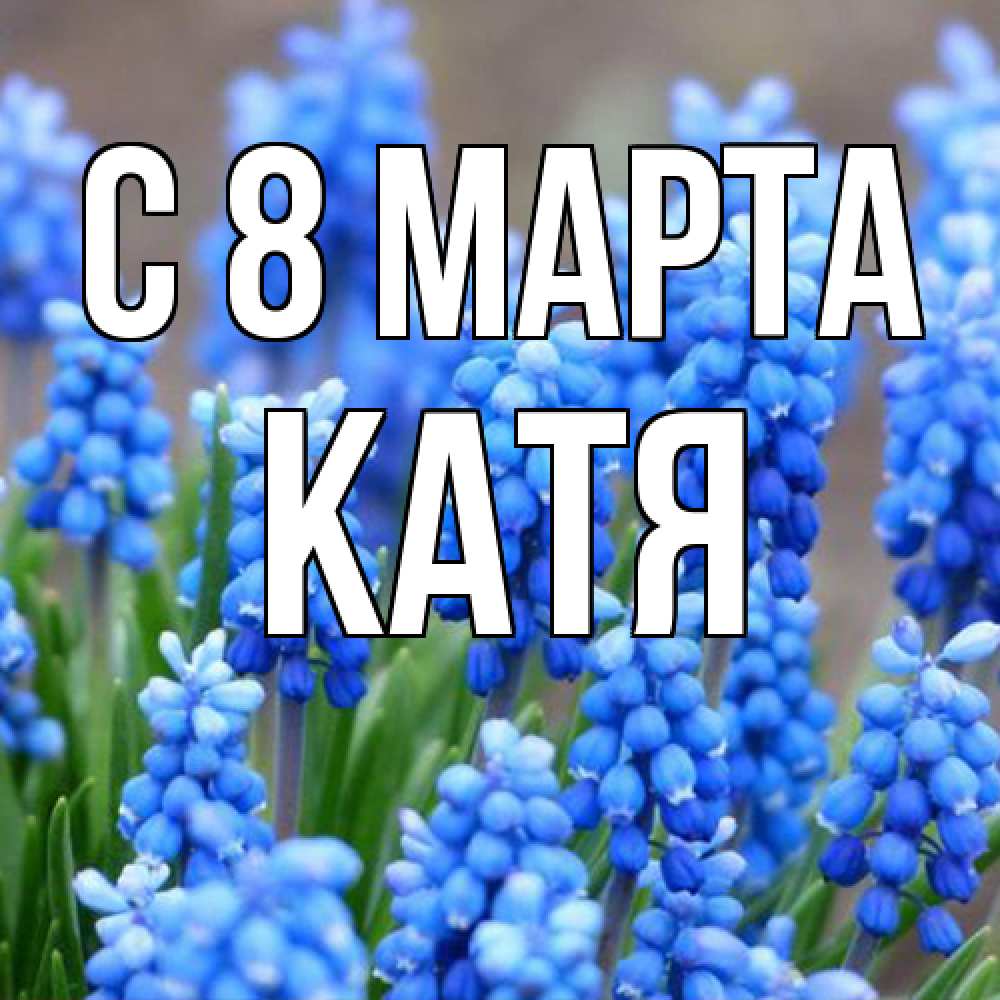 Открытка на каждый день с именем, Катя C 8 МАРТА Поздравительная открытка для женщин с цветами на праздничную дату Прикольная открытка с пожеланием онлайн скачать бесплатно 