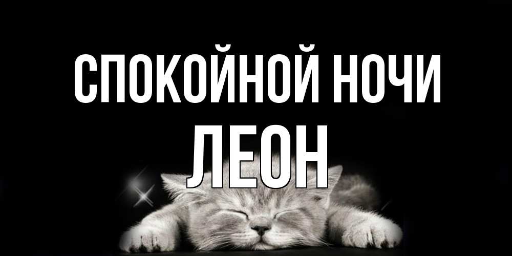 Открытка на каждый день с именем, Леон Спокойной ночи спящий котик Прикольная открытка с пожеланием онлайн скачать бесплатно 