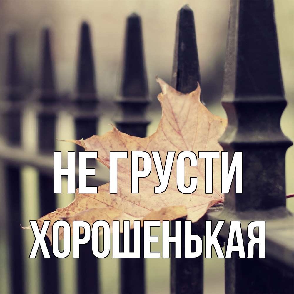 Открытка на каждый день с именем, хорошенькая Не грусти лист клена Прикольная открытка с пожеланием онлайн скачать бесплатно 