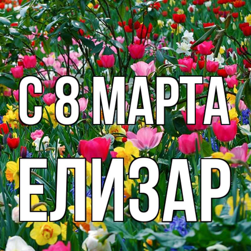 Картинка C 8 МАРТА, Елизар