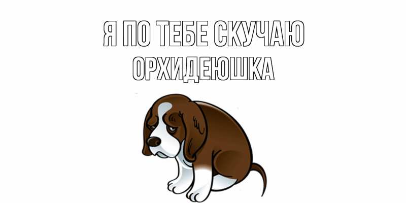 Картинка Я по тебе скучаю, Орхидеюшка