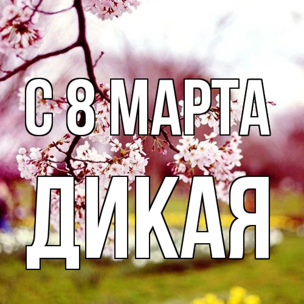 Открытка на каждый день с именем, дикая C 8 МАРТА яблоня Прикольная открытка с пожеланием онлайн скачать бесплатно 