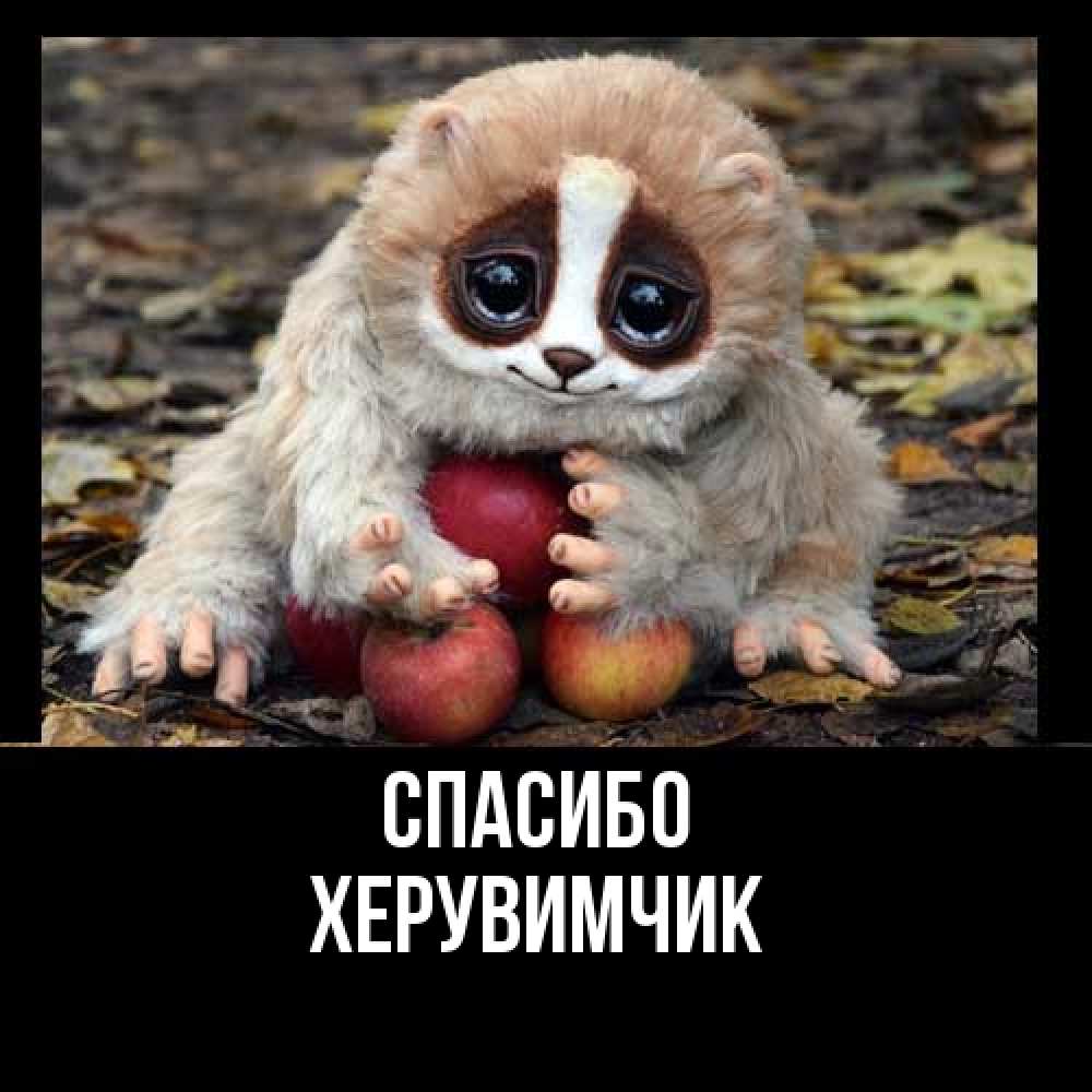 Открытка на каждый день с именем, Хеpувимчик Спасибо прикольное животное Прикольная открытка с пожеланием онлайн скачать бесплатно 