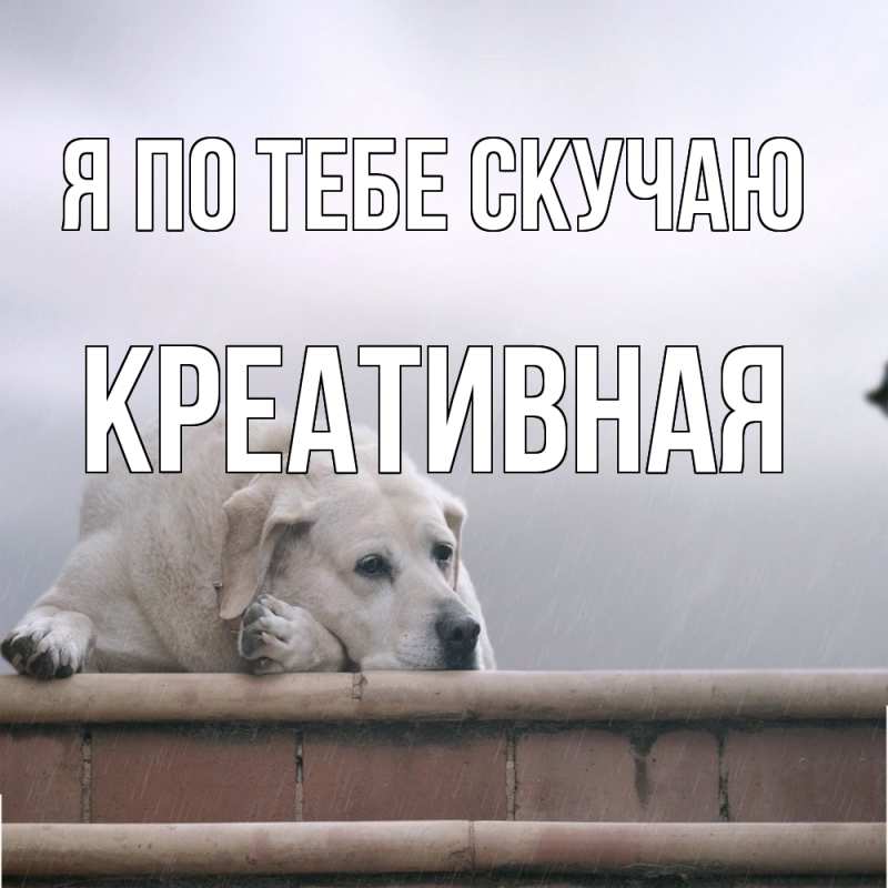 Картинка Я по тебе скучаю, Креативная
