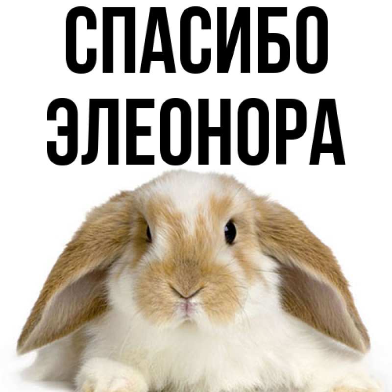 Картинка Спасибо, Элеонора