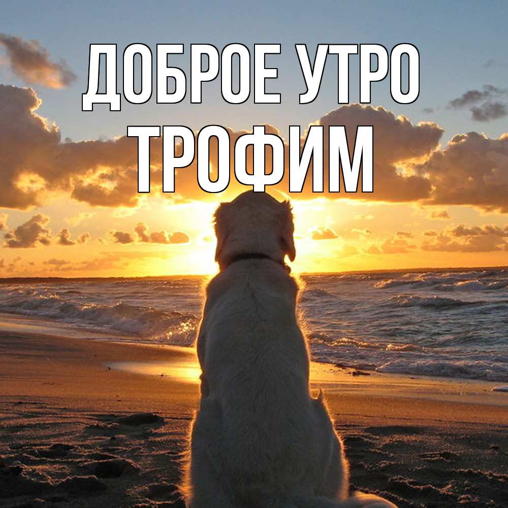 Открытка на каждый день с именем, Трофим Доброе утро восход солнца Прикольная открытка с пожеланием онлайн скачать бесплатно 