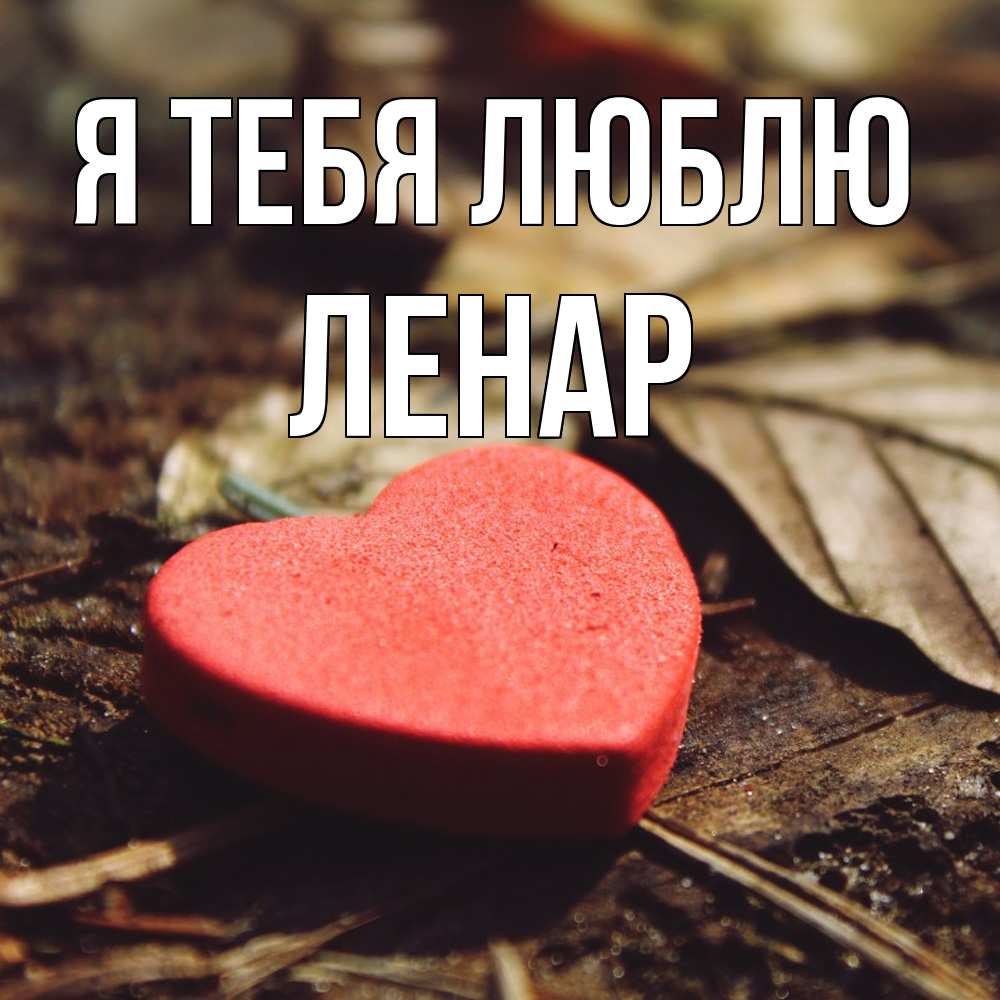 Открытка на каждый день с именем, Ленар Я тебя люблю листья деревье 4 Прикольная открытка с пожеланием онлайн скачать бесплатно 