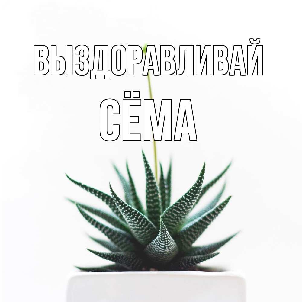 Открытка на каждый день с именем, Сёма Выздоравливай короче это непонятная колючка Прикольная открытка с пожеланием онлайн скачать бесплатно 