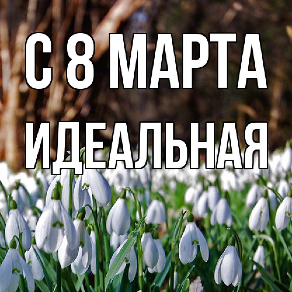 Открытка на каждый день с именем, идеальная C 8 МАРТА с подснежниками 1 Прикольная открытка с пожеланием онлайн скачать бесплатно 