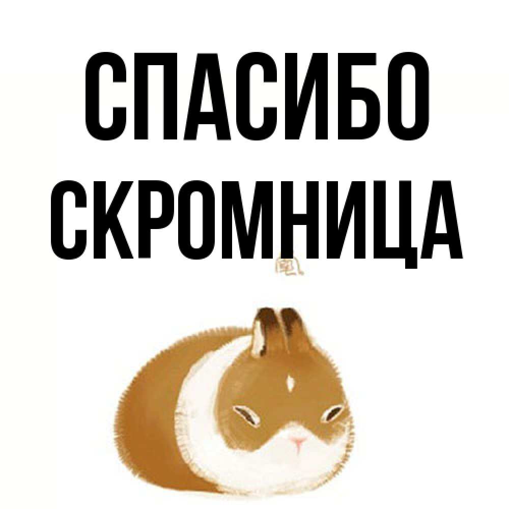 Открытка на каждый день с именем, Скромница Спасибо коричнево белый домашний питомец Прикольная открытка с пожеланием онлайн скачать бесплатно 