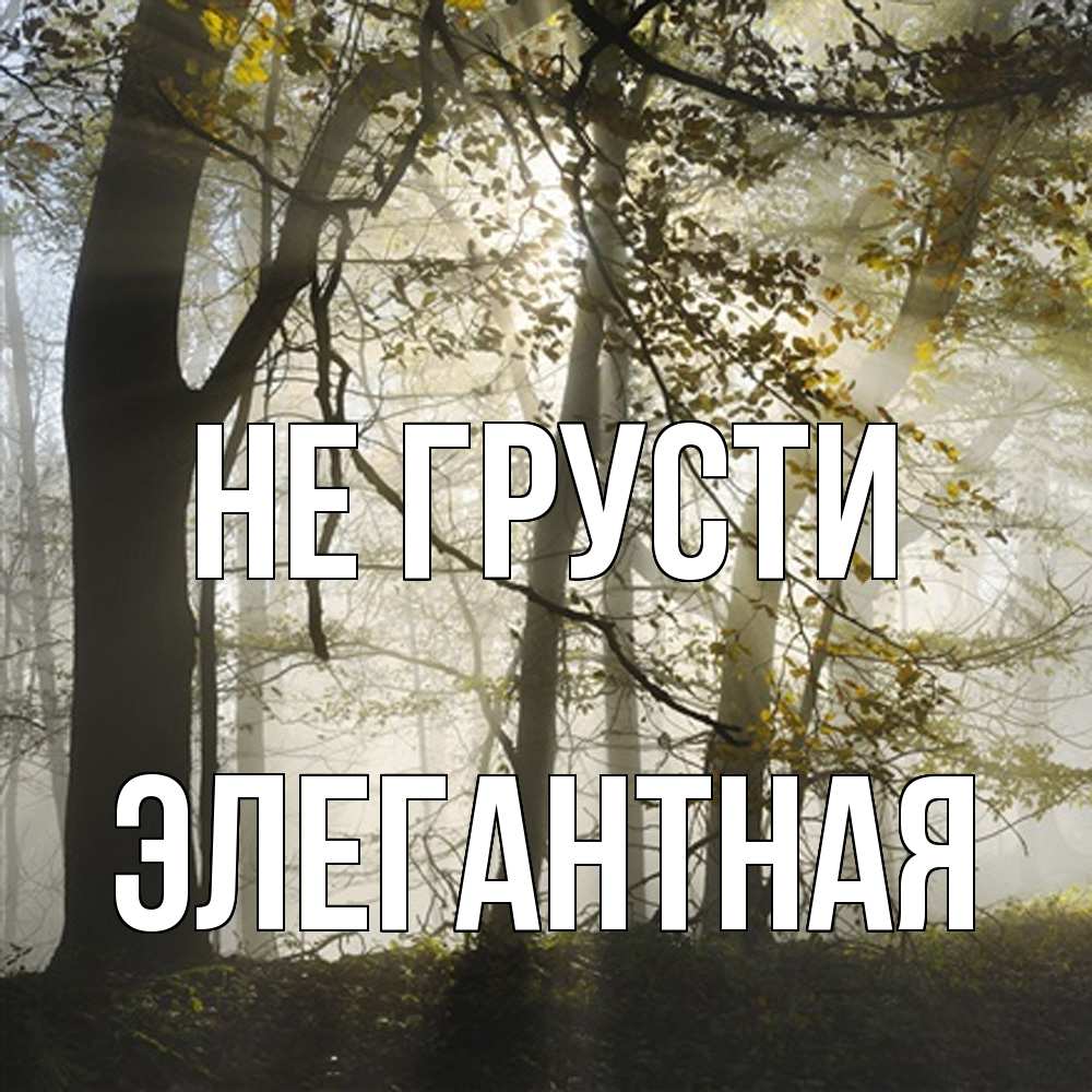 Открытка на каждый день с именем, элегантная Не грусти лес и свет Прикольная открытка с пожеланием онлайн скачать бесплатно 
