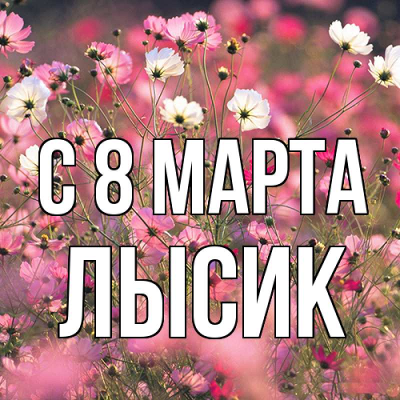 Картинка C 8 МАРТА, Лысик