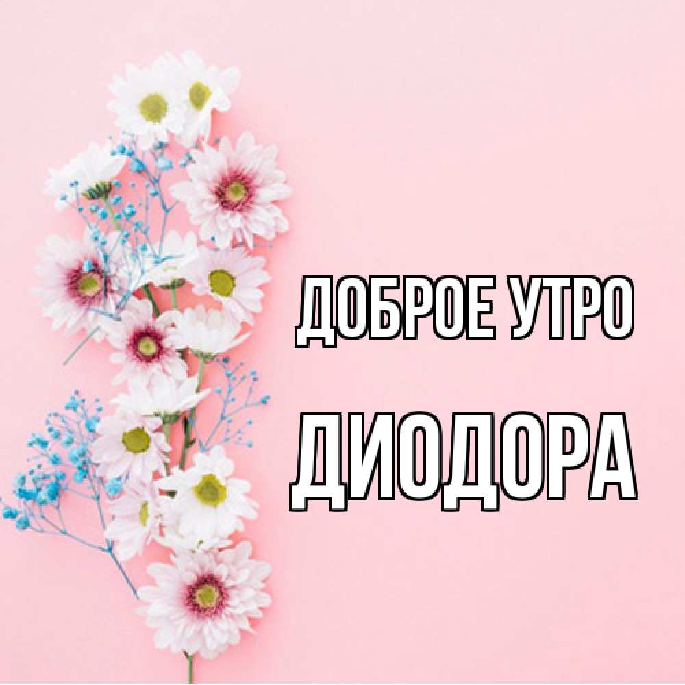 Открытка на каждый день с именем, Диодора Доброе утро цветы с подписью Прикольная открытка с пожеланием онлайн скачать бесплатно 