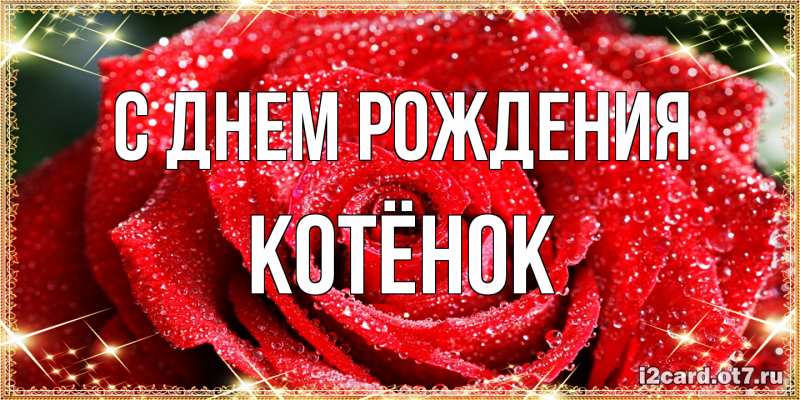 Картинка С днем рождения, Котёнок