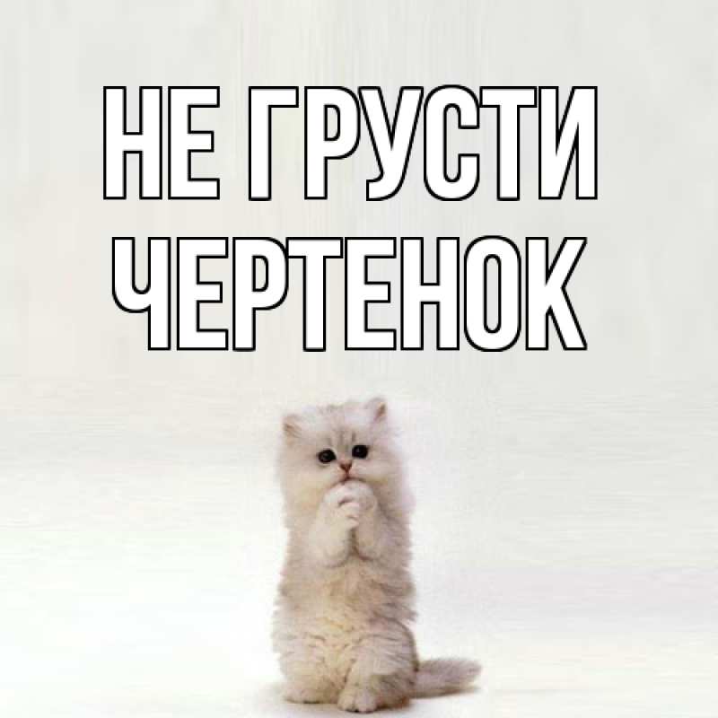 Картинка Не грусти, чеpтенок