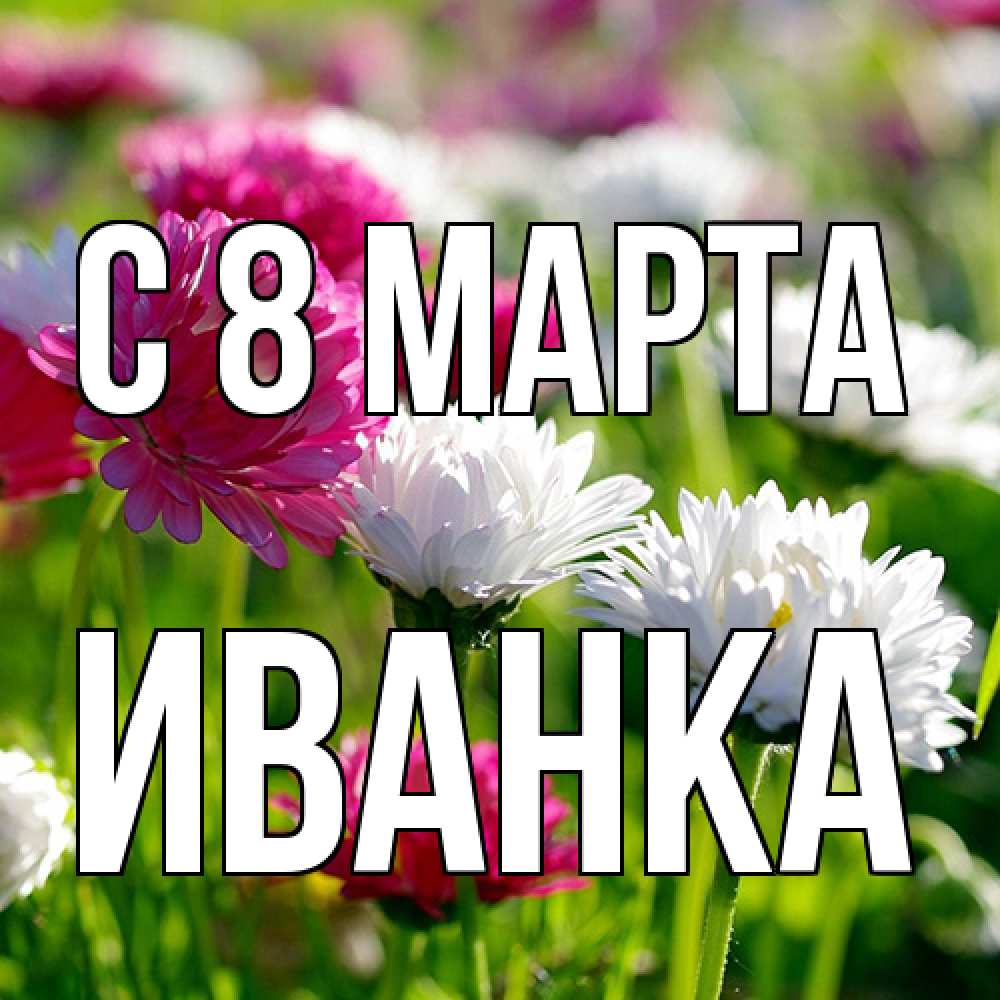 Открытка на каждый день с именем, Иванка C 8 МАРТА международный женский день 1 Прикольная открытка с пожеланием онлайн скачать бесплатно 