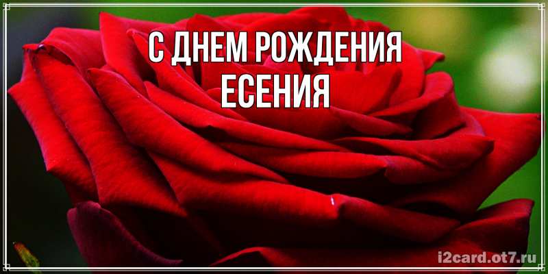 Картинка С днем рождения, Есения