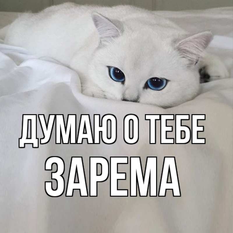 Картинка Думаю о тебе, Зарема