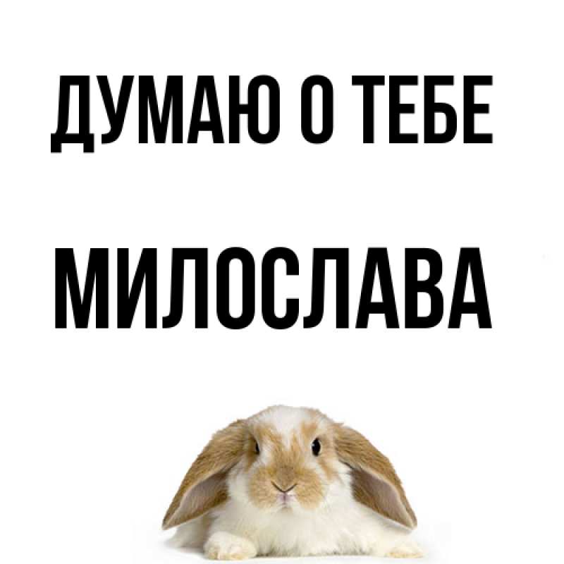 Картинка Думаю о тебе, Милослава