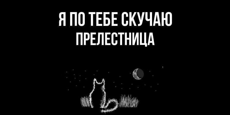 Картинка Я по тебе скучаю, пpелестница