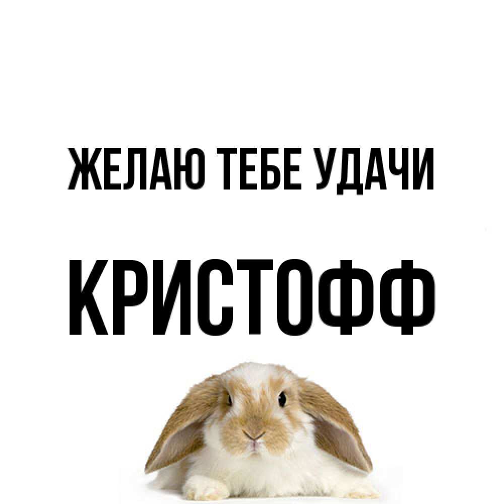 Открытка на каждый день с именем, Кристофф Желаю тебе удачи открытки с произвольным текстом который можно вставить в открытку и создать ее самостоятельно бесплатно онлайн Прикольная открытка с пожеланием онлайн скачать бесплатно 