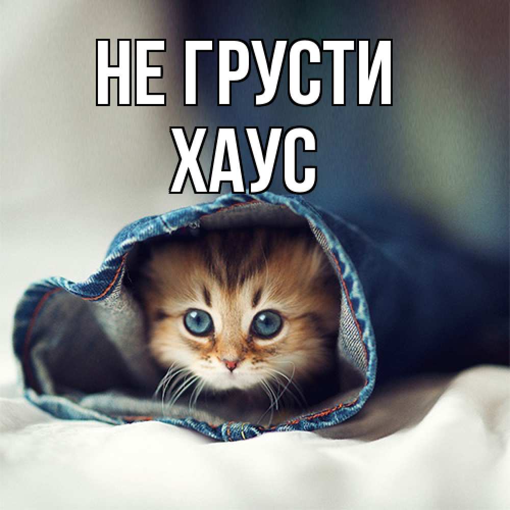 Открытка на каждый день с именем, Хаус Не грусти рыжик котик Прикольная открытка с пожеланием онлайн скачать бесплатно 