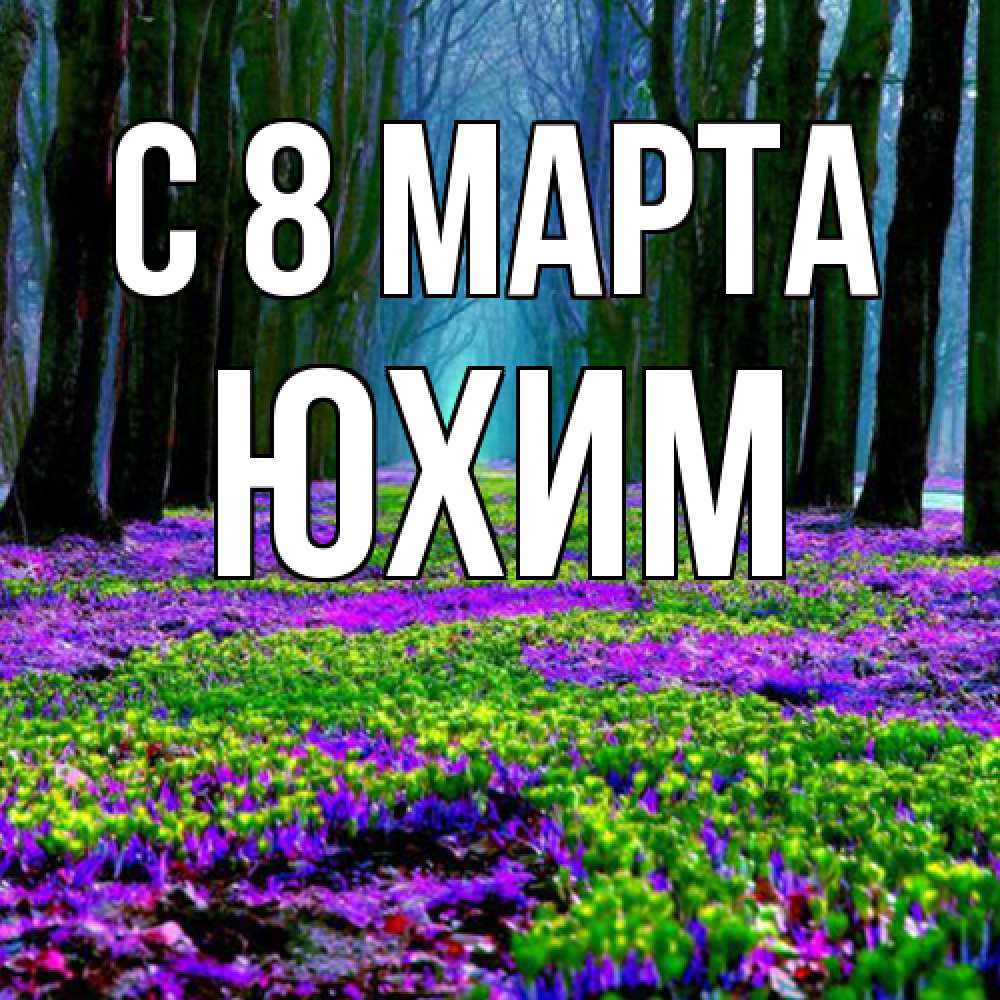 Открытка на каждый день с именем, Юхим C 8 МАРТА фиолетовые цветы в лесу 1 Прикольная открытка с пожеланием онлайн скачать бесплатно 