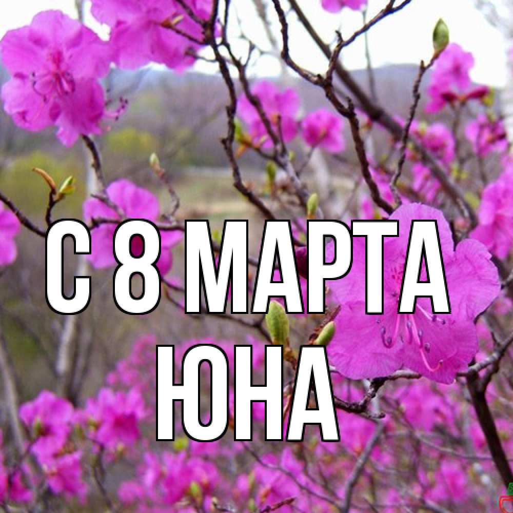 Открытка на каждый день с именем, Юна C 8 МАРТА международный женский день Прикольная открытка с пожеланием онлайн скачать бесплатно 