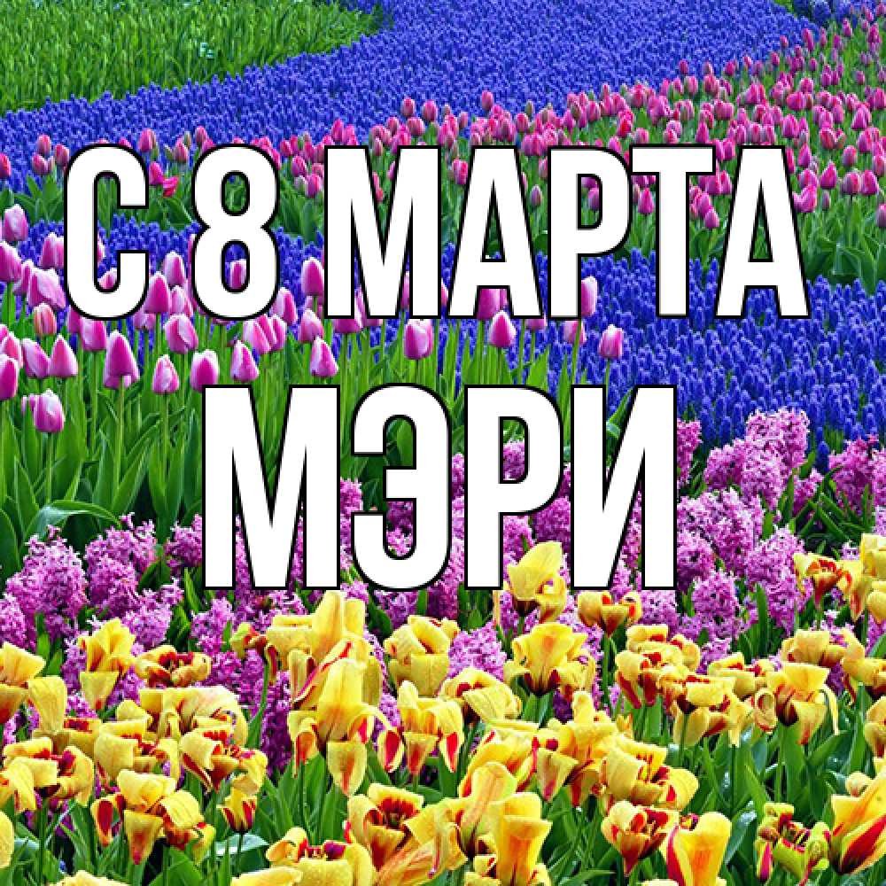 Открытка на каждый день с именем, Мэри C 8 МАРТА цветы Прикольная открытка с пожеланием онлайн скачать бесплатно 