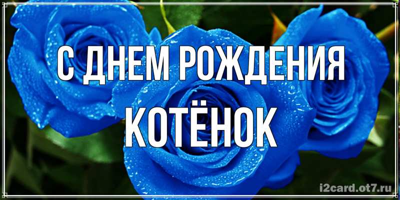 Картинка С днем рождения, Котёнок