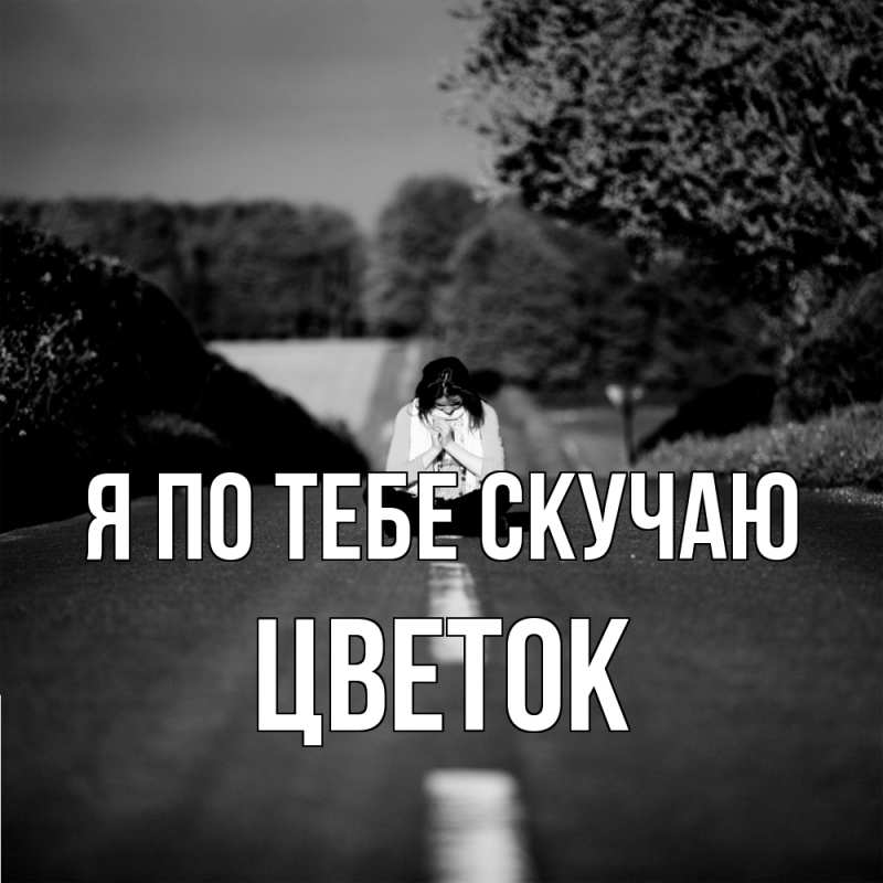 Картинка Я по тебе скучаю, Цветок